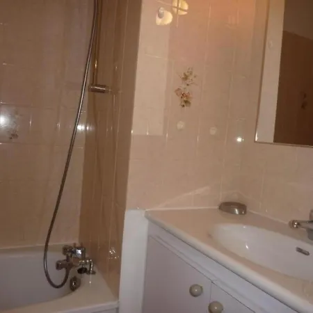 Apartment Ax-les-thermes, 2 Pieces, 3 Personnes - Fr-1-419-398 *